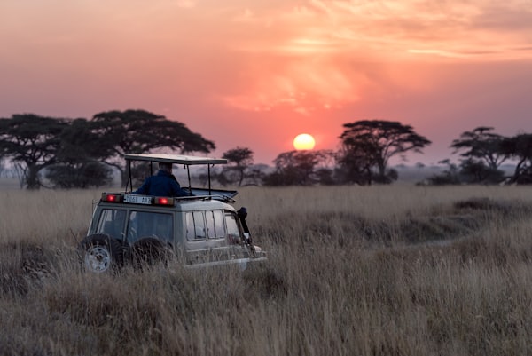 Safari Tanzania — Promo Video