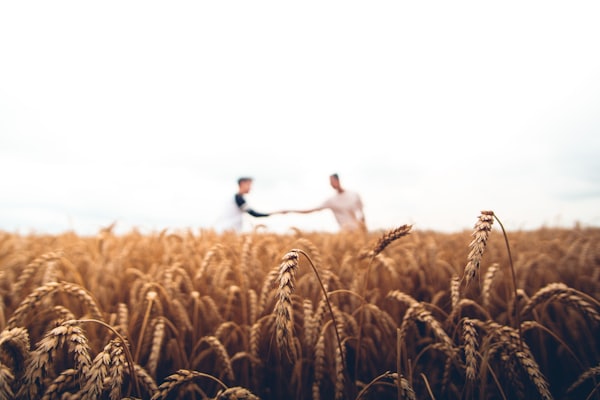 Agri-Business Advert