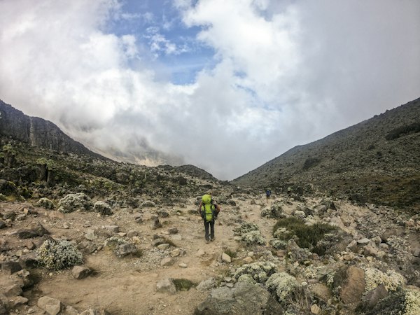 Kilimanjaro Trek Sponsor